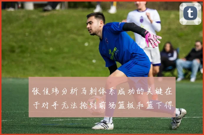 张佳玮分析马刺体系成功的关键在于对手无法抢到前场篮板和篮下得分困难