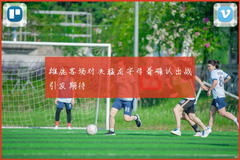 雄鹿客场对决猛龙字母哥确认出战引发期待