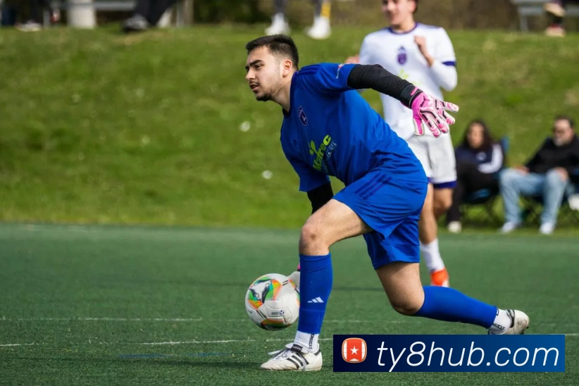 天游ty8发展历程